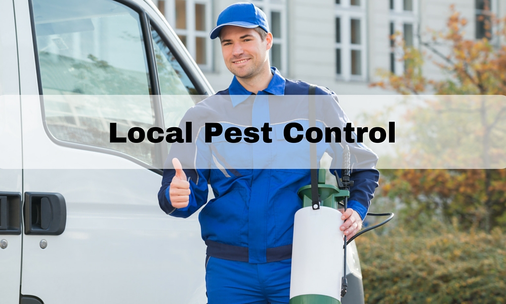 local pest control